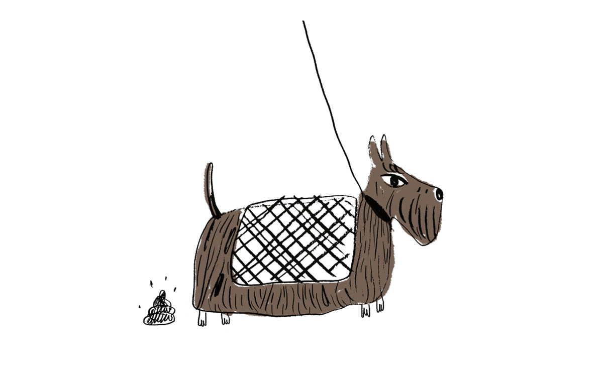 Garance Devaux - illustration paysage 1