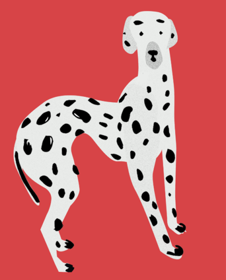 Garance Devaux - illustration portrait 2