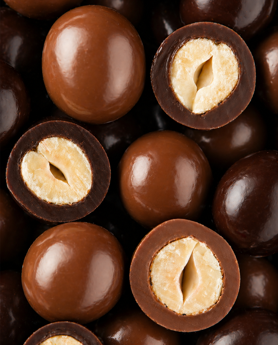 Noisettes enrobées de chocolat - macro