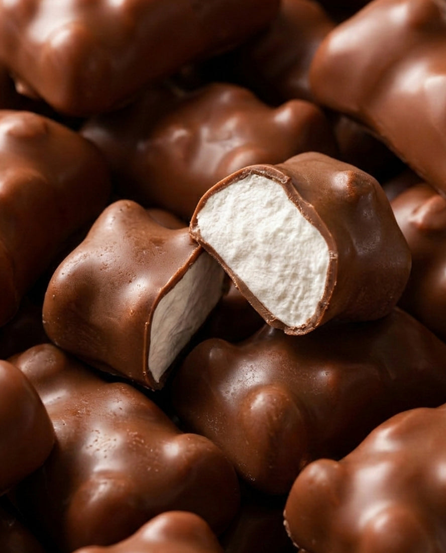 Oursons guimauve chocolat au lait - macro